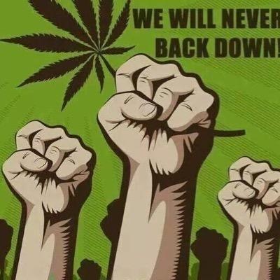 we love the leaf!! both medical & recreational #mmj #cbd #cannabis #legalizeit