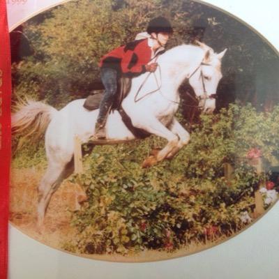 A rustic person with a passion for the countryside, arabian horses, labrador dogs,agriculture and especially white wine...