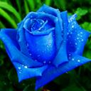 Leonard Watts - @lwatts777 - Twitter