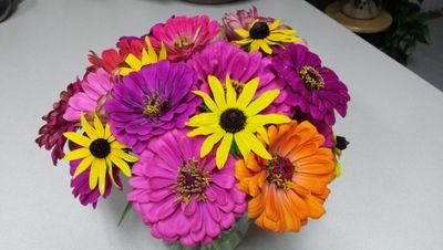 KielKid4's profile picture. 