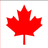 Dave_Basi's profile image
