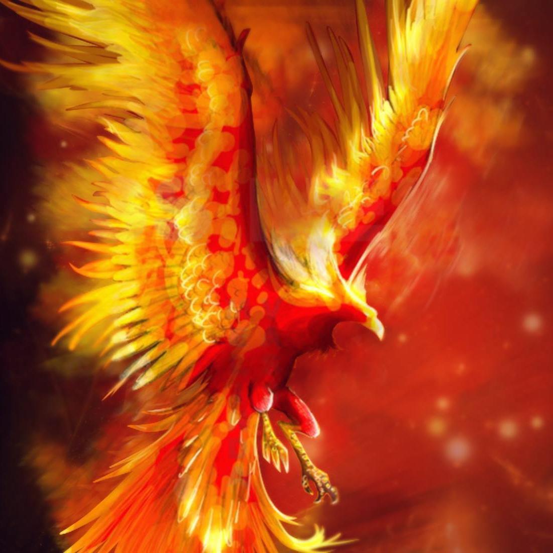 PhenixiaGaming's profile picture. Team eSport Xbox One / CoD AW / BF4 / Titanfall / Join us !