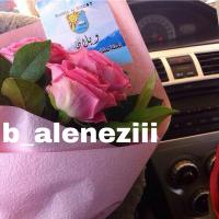 بتول العنزي⚖ (@b_aleneziii) Twitter profile photo