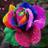 rayyan7777's profile image