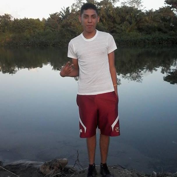 carlosavicii's profile picture. 