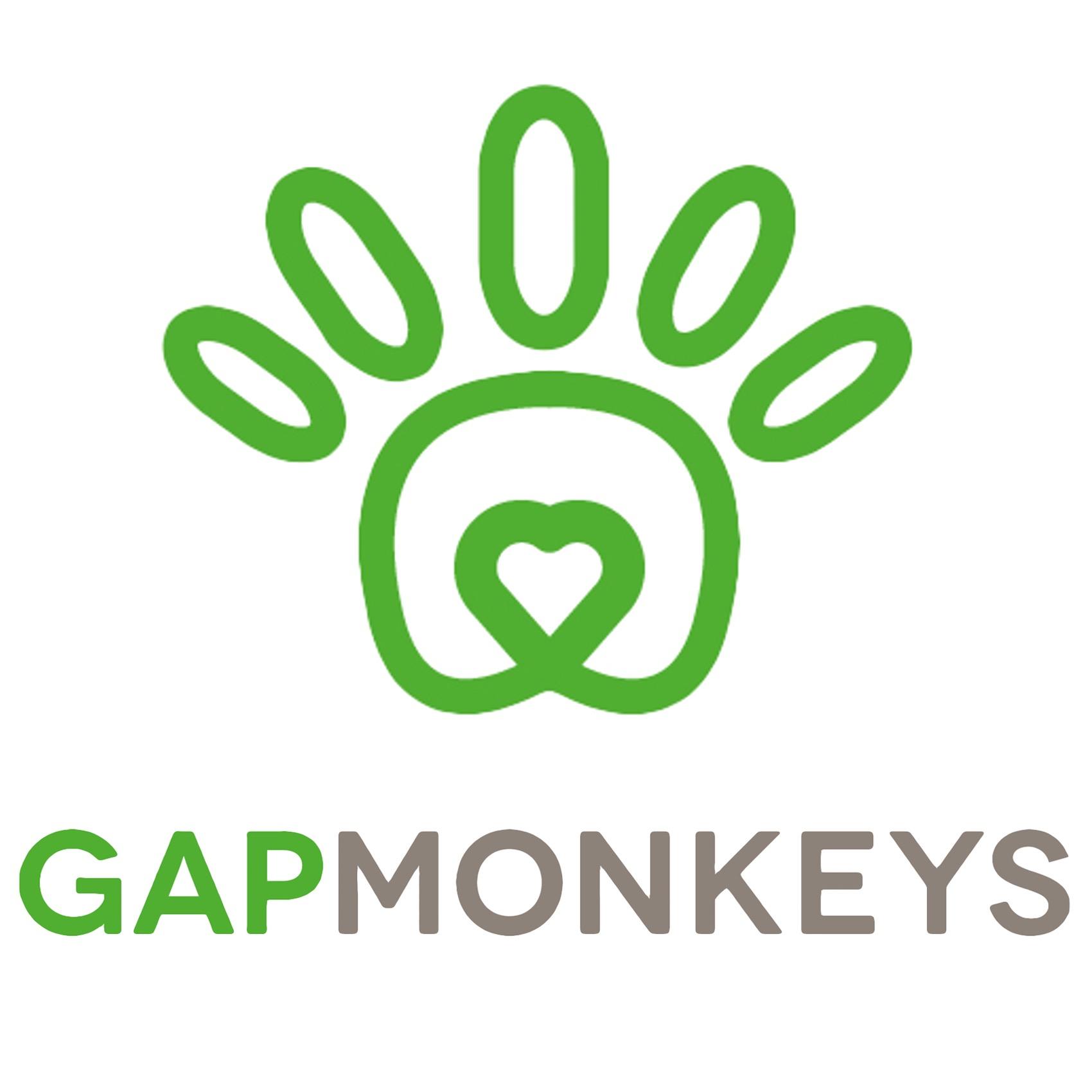 GapMonkeys is an online marketplace where homeowners can outsource household and garden tasks to capable, trustworthy gap-year or university students.