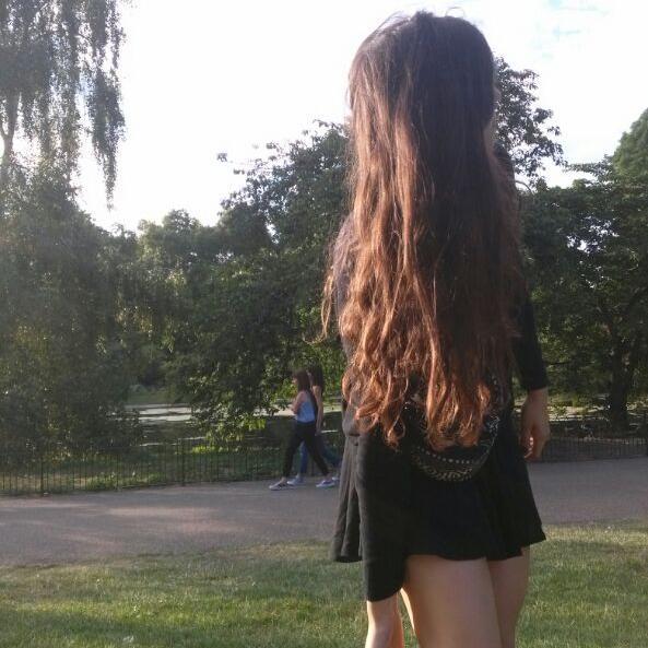 26. 🕊️