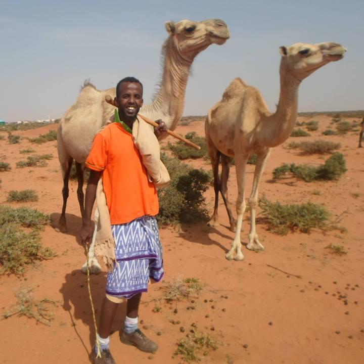 engcd Profile Picture