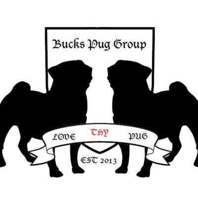 pug groups bucks pug buckspuggroup pug groups bucks pug buckspuggroup