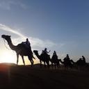 Robyn Griffiths - @AlphaIndia51 - Twitter