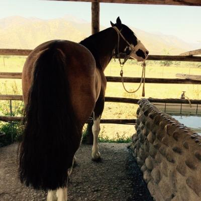 @maqmarental