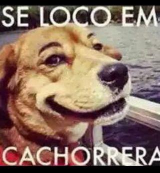 http://t.co/nZzwsRC44V