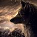 Alpha_591 (@wolf_alpha59) Twitter profile photo