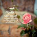 ♡♡شمعه حياتي♡♡ (@06671f6464d44a3) Twitter
