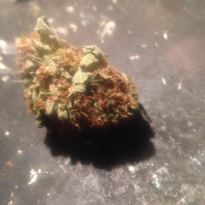 MilesRandom2's profile picture. follow for follow