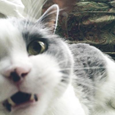 JLouiseME's profile picture. I knit a lot