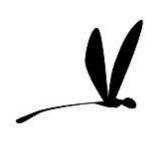 jwlblu_images Profile Picture