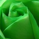 ana dulce claudio cr - @ac61_ana - Twitter