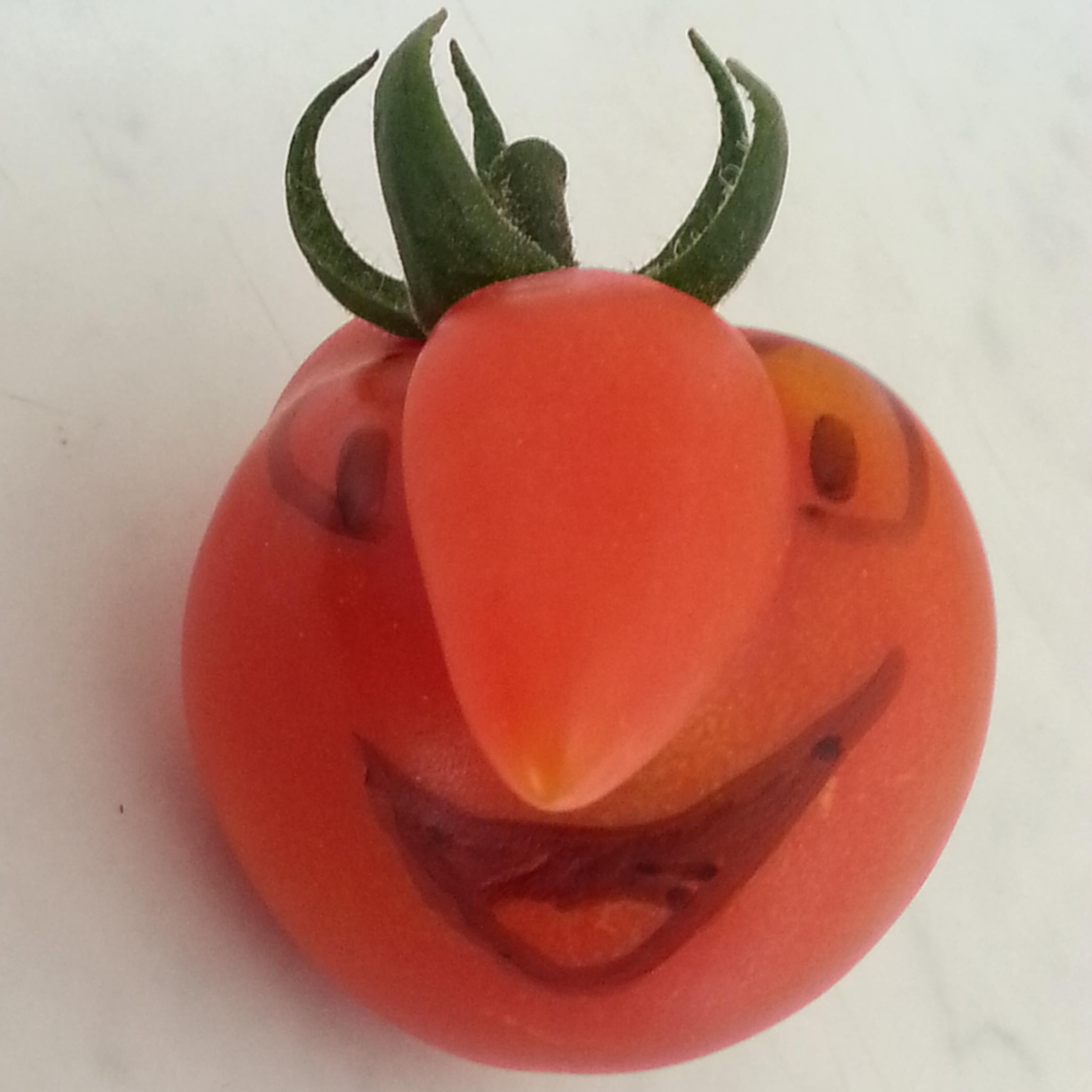 guegnard's profile picture. 