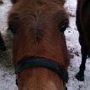 Faye Benedict - @benedict_faye - Twitter