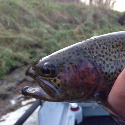 barrett_seth's profile picture. 