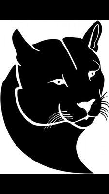 CVSTEM's profile picture. Traditional high school for students interested in science technology engineering and math