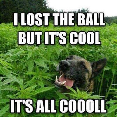 fattdik's profile picture. love natural amateurs and fat pussies.