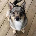 Glenn Harding - @harding_glenn - Twitter