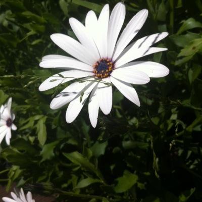 victqriaa Profile Picture