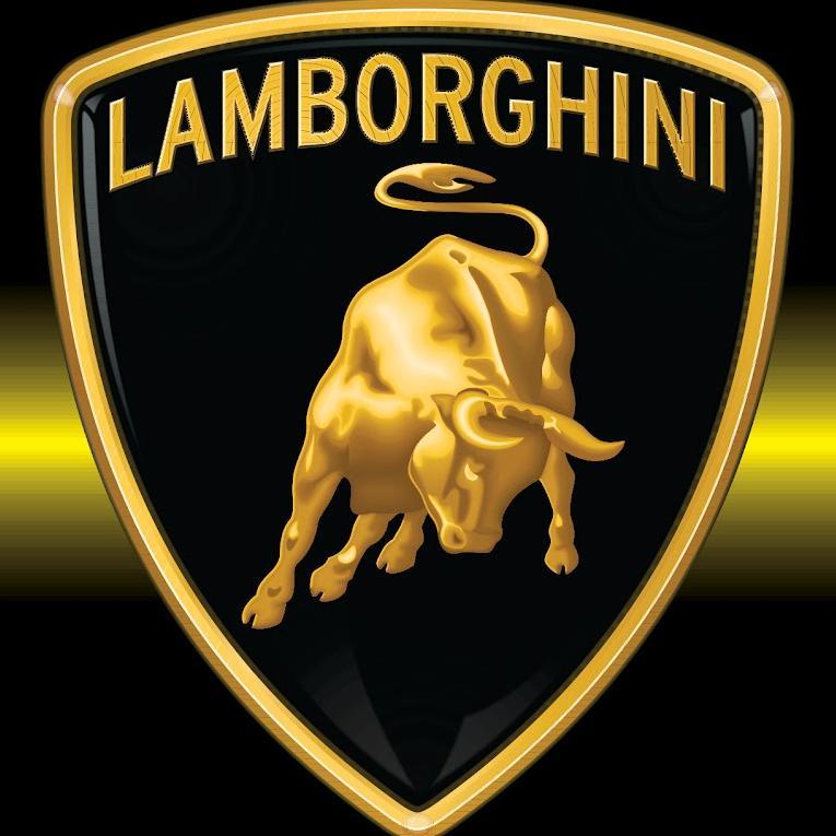 murcielago543's profile picture. 