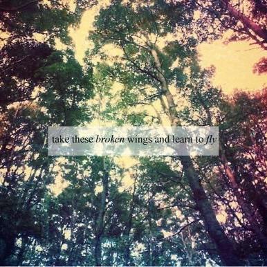 BrieJos's profile picture. s p a r k l e