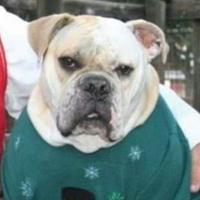 Steve (@tuskerdu) 's Twitter Profile