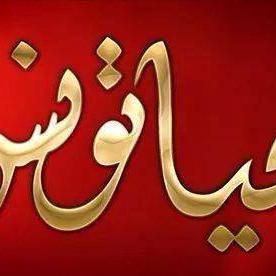 immoivesti's profile picture. 