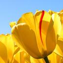 Wesley Jeon - @jeonseongbom - Twitter