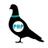 PigeonHoleProd's profile image