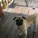 Riley Fleming - @rileyfleming19 - Twitter