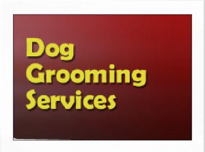 dawn.scott68@btinternet.com  Professional dog and cat groomer covering Ryedale/ York and North Yorkshire mobile and traditional.