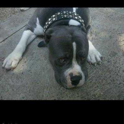 kaystary's profile picture. 