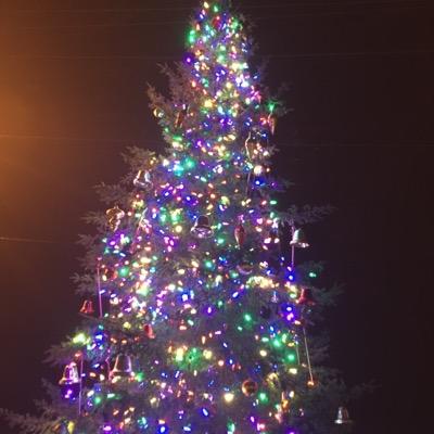 MsKateC's profile picture. 