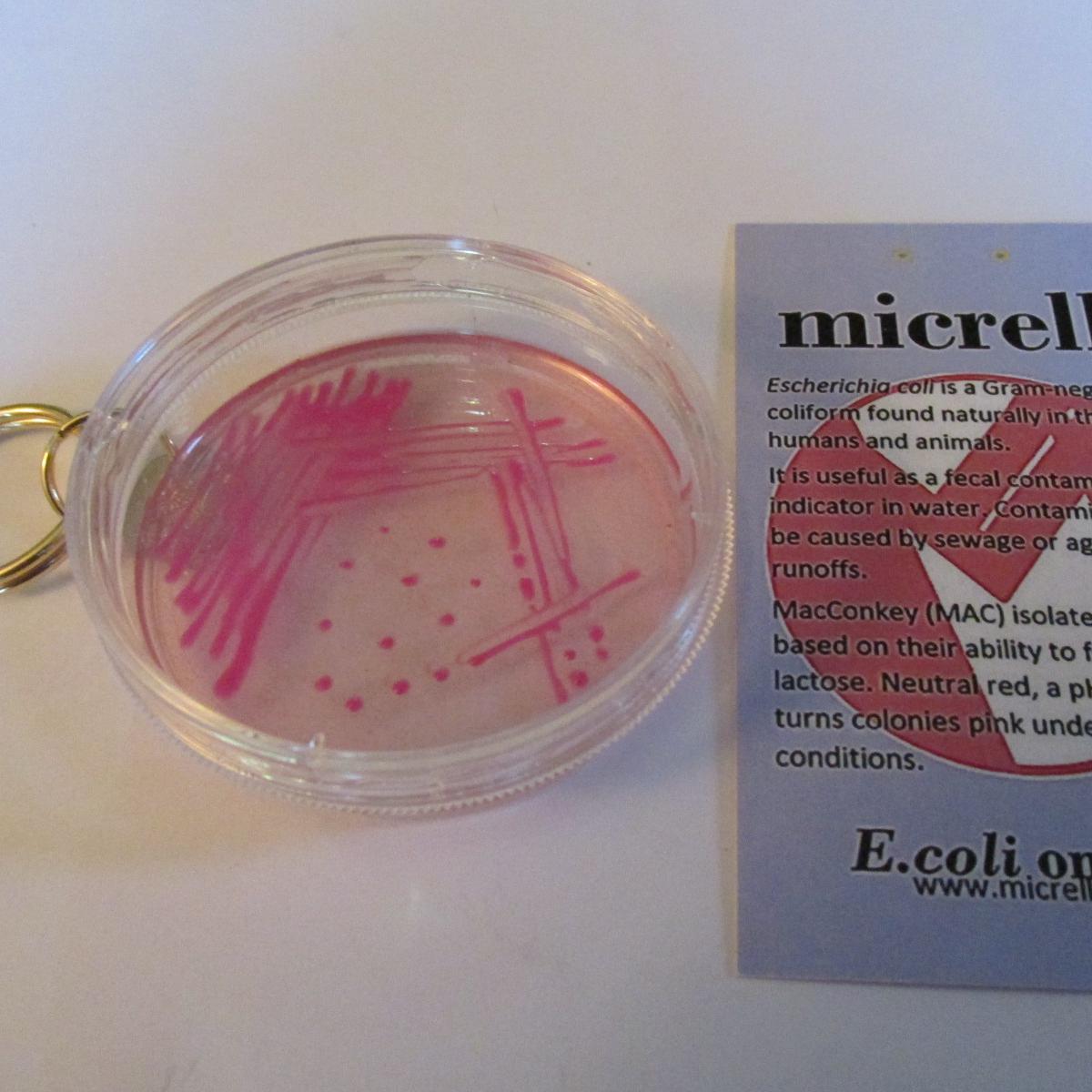 A microbiology novelty company!