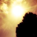 James Zak - @JamesZak7635 - Twitter