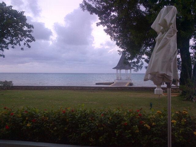 ErikaSWilson's profile picture. Detroit born and raised, MSU James Madison College grad, adventurous, and true LEO...(President Obama and I share birthdays) :)