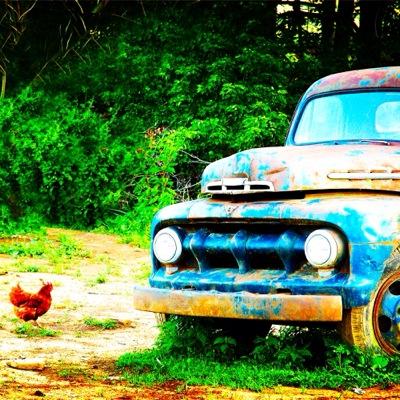 new twitter account, gorgeous pics to brighten your day✌️
for more colorful pics follow instagram/colorfulbones