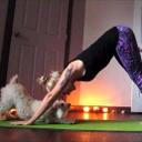 Renee Downing, P.T. - @ReneeDFitness - Twitter