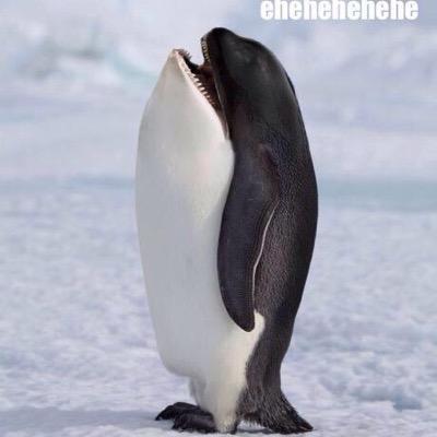 FactsFlying's profile picture. weird.