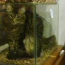 Tomas Suarez - @speedsoul11 - Twitter