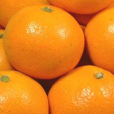 みかん🍊 (@3253wa) / X みかん🍊 (@3253wa) / X