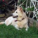 carolann smith - @smitty6481 - Twitter