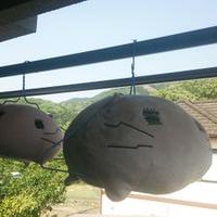りょうすけ たまゆら～ ももねこーら～ (@ryousukemarumin) 's Twitter Profile Photo