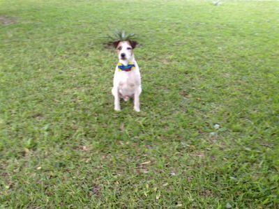 pejotita's profile picture. 